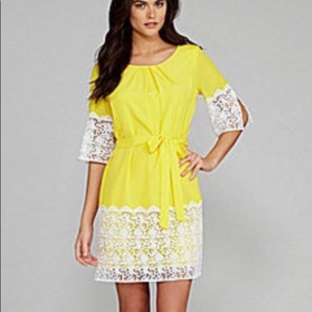 Gianni Bini dress 💰